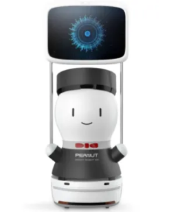robot-service