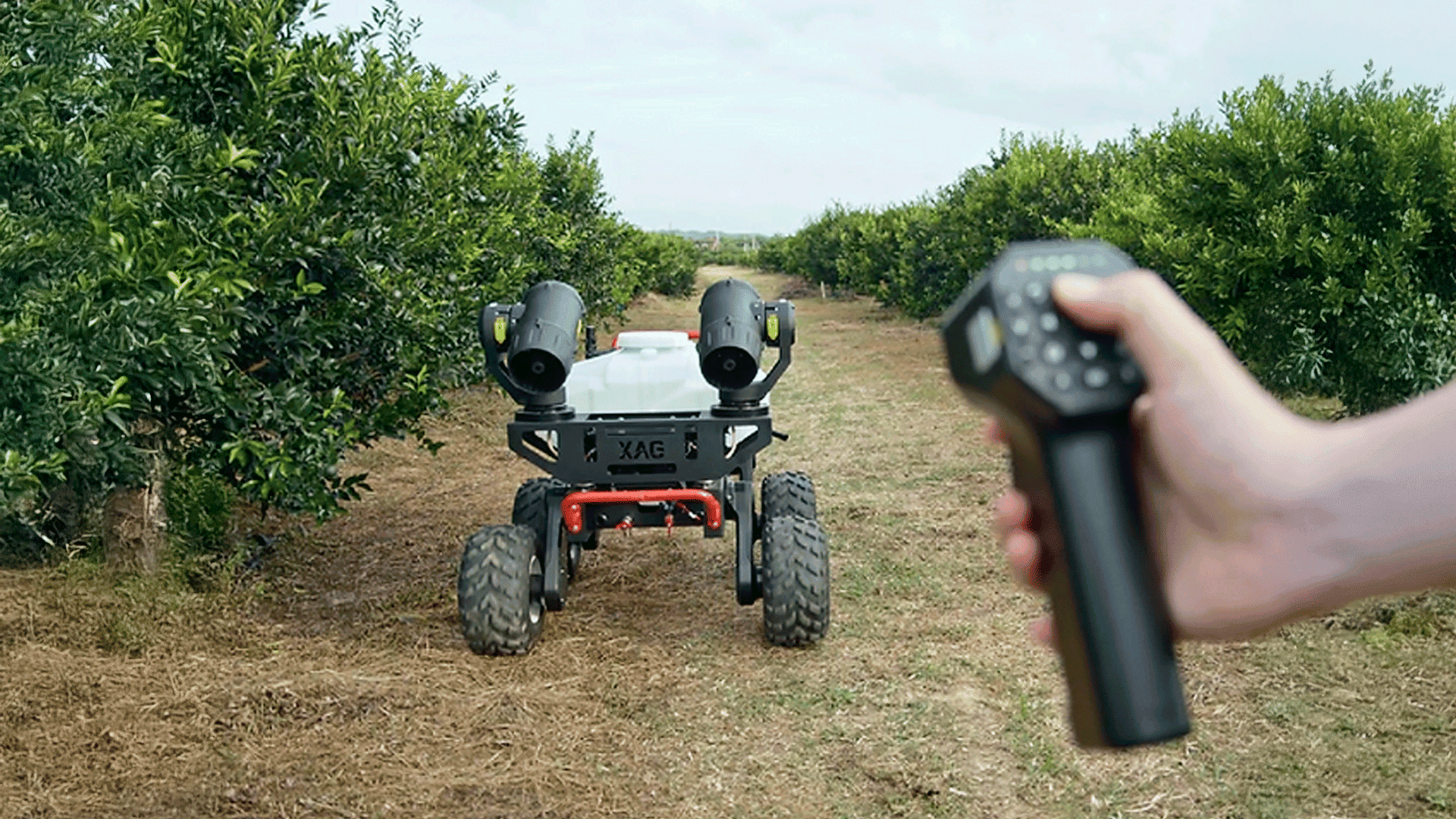 Сельскохозяйственный наземный дрон XAG R150, управляемый дистанционно, на поле с фруктовыми деревьями, с системой распыления.