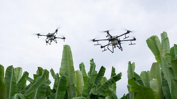 Квадрокоптер DJI Agras T10