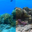 Фильтры PolarPro AQUA на бокс GoPro HERO8 фото 5